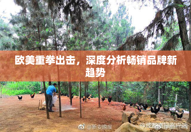 欧美重拳出击，深度分析畅销品牌新趋势