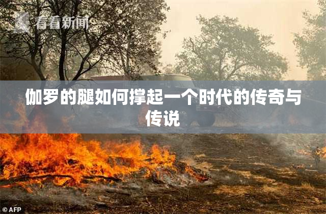 伽罗的腿如何撑起一个时代的传奇与传说