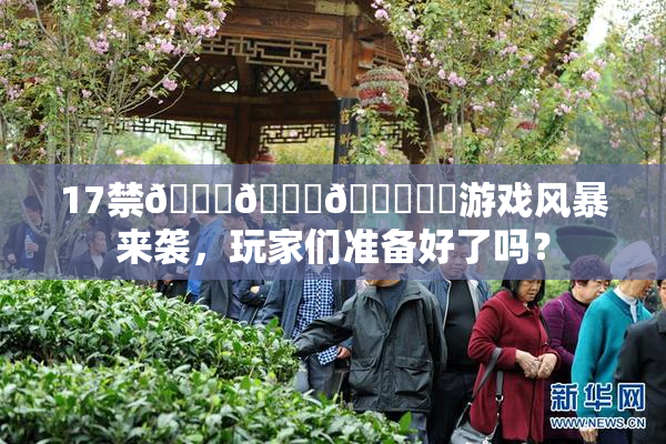 17禁🍆🍑🔞❌‌游戏风暴来袭，玩家们准备好了吗？
