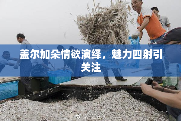 盖尔加朵情欲演绎，魅力四射引关注