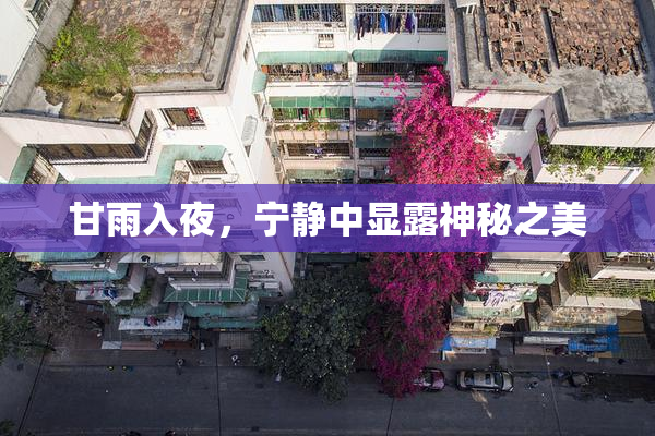 甘雨入夜，宁静中显露神秘之美