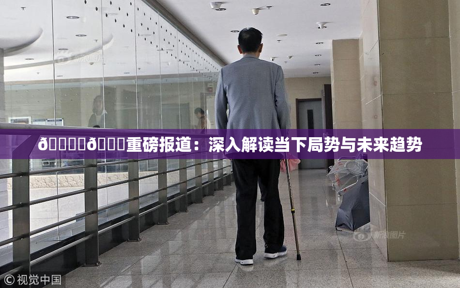 🔞‌🍌重磅报道：深入解读当下局势与未来趋势
