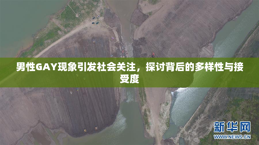 男性GAY现象引发社会关注，探讨背后的多样性与接受度
