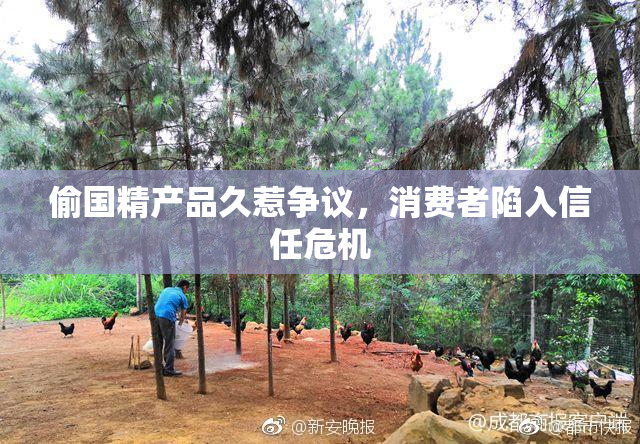 偷国精产品久惹争议，消费者陷入信任危机