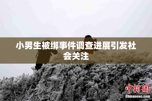 小男生被绑事件调查进展引发社会关注