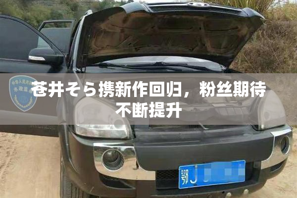 苍井そら携新作回归，粉丝期待不断提升