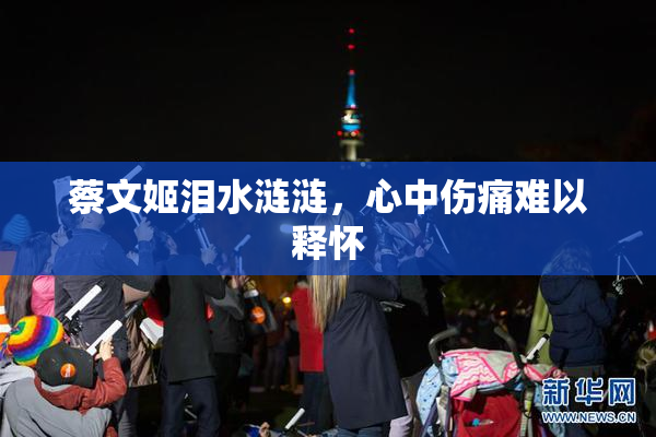 蔡文姬泪水涟涟，心中伤痛难以释怀