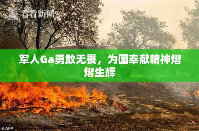 军人Ga勇敢无畏，为国奉献精神熠熠生辉