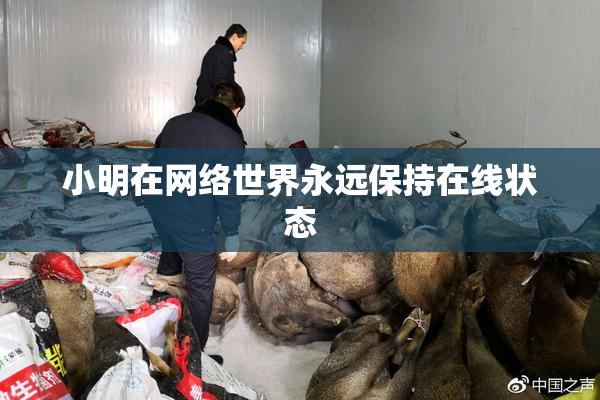 小明在网络世界永远保持在线状态