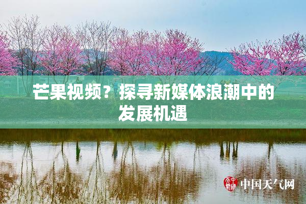 芒果视频？探寻新媒体浪潮中的发展机遇