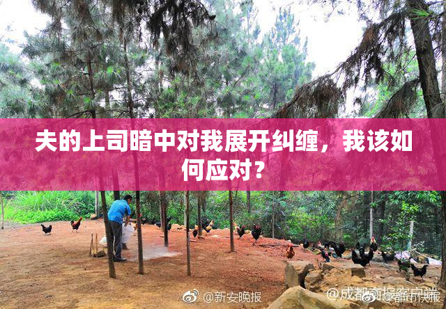夫的上司暗中对我展开纠缠，我该如何应对？