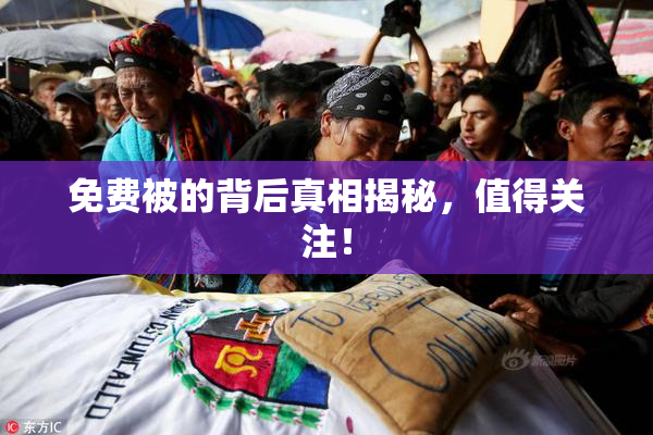免费被的背后真相揭秘，值得关注！