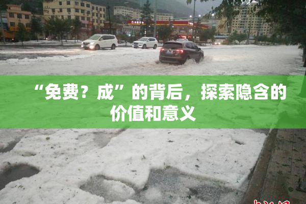 “免费？成”的背后，探索隐含的价值和意义