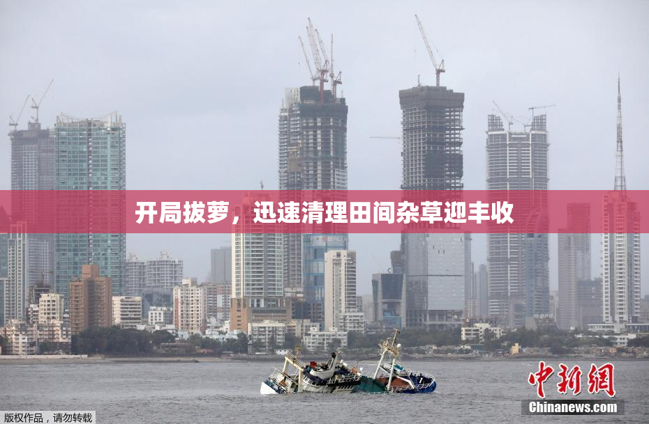 开局拔萝，迅速清理田间杂草迎丰收