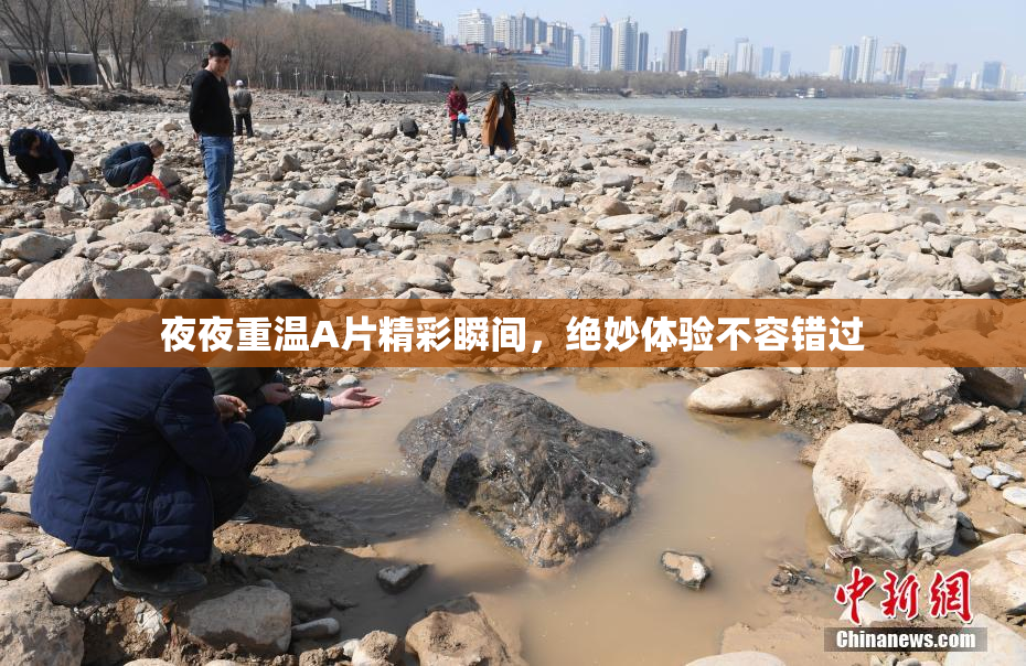 夜夜重温A片精彩瞬间，绝妙体验不容错过