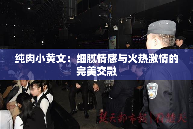 纯肉小黄文：细腻情感与火热激情的完美交融