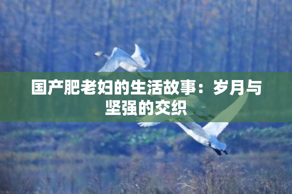 国产肥老妇的生活故事：岁月与坚强的交织