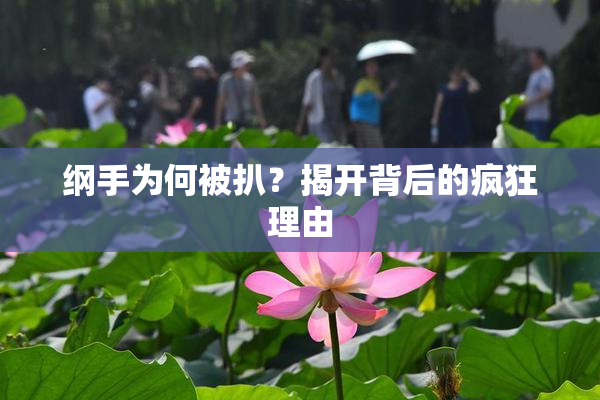 纲手为何被扒？揭开背后的疯狂理由