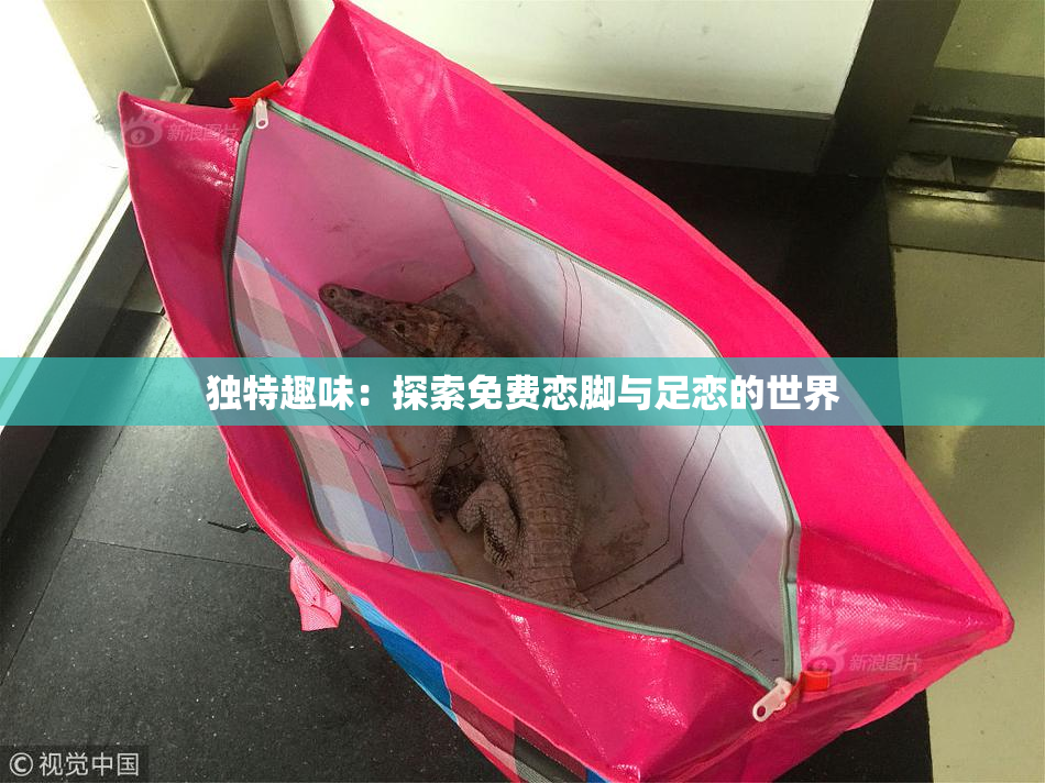 独特趣味：探索免费恋脚与足恋的世界