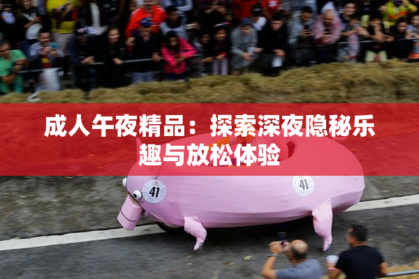 成人午夜精品：探索深夜隐秘乐趣与放松体验