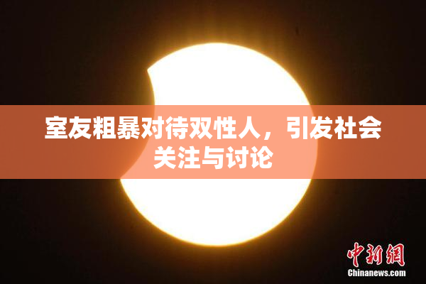 室友粗暴对待双性人，引发社会关注与讨论