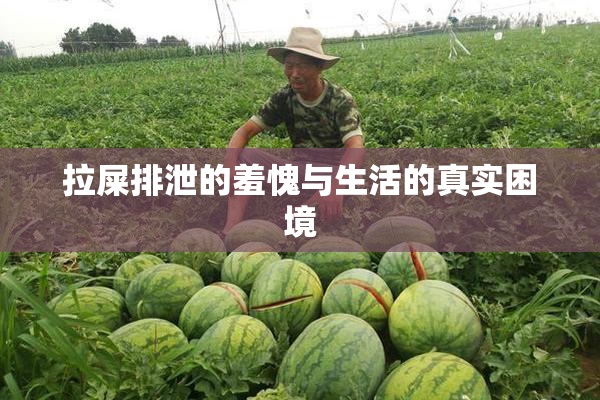 拉屎排泄的羞愧与生活的真实困境