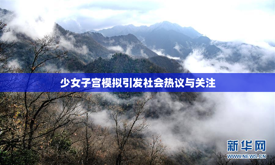 少女子宫模拟引发社会热议与关注