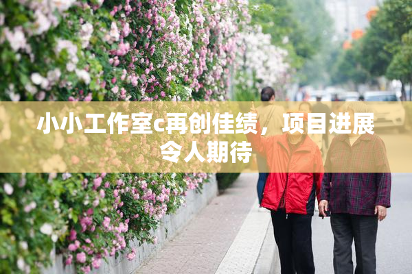 小小工作室c再创佳绩，项目进展令人期待