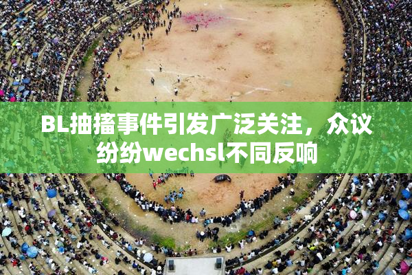 BL抽搐事件引发广泛关注，众议纷纷wechsl不同反响