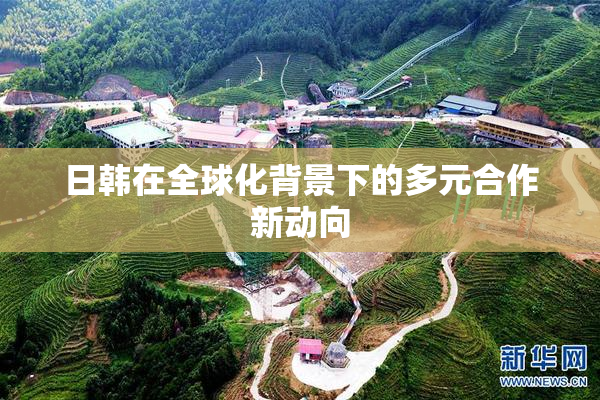 日韩在全球化背景下的多元合作新动向
