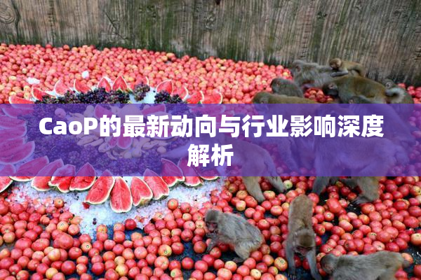 CaoP的最新动向与行业影响深度解析