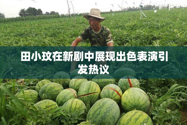 田小玟在新剧中展现出色表演引发热议