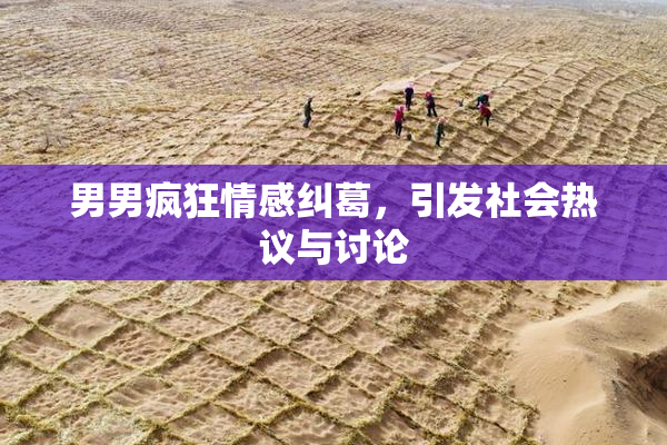 男男疯狂情感纠葛，引发社会热议与讨论