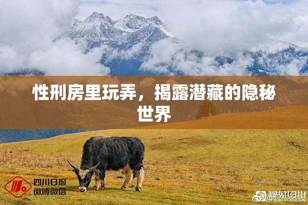 性刑房里玩弄，揭露潜藏的隐秘世界