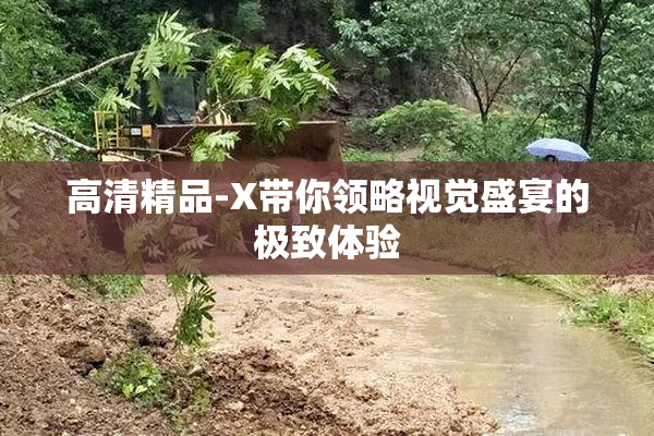 高清精品-X带你领略视觉盛宴的极致体验