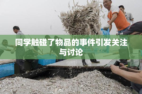 同学触碰了物品的事件引发关注与讨论