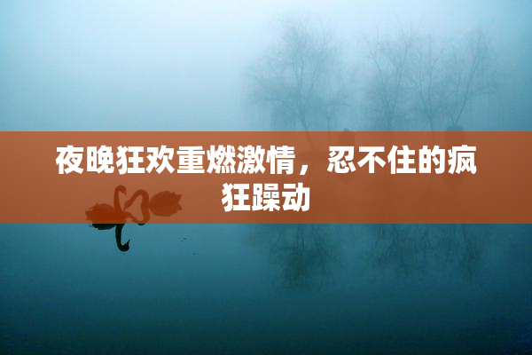 夜晚狂欢重燃激情，忍不住的疯狂躁动