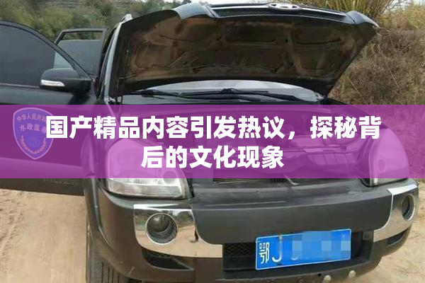国产精品内容引发热议，探秘背后的文化现象