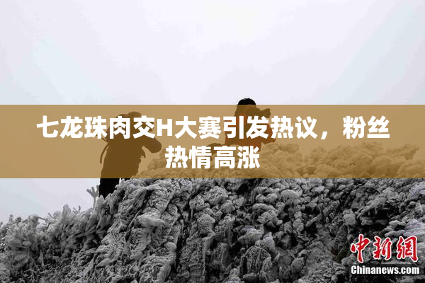 七龙珠肉交H大赛引发热议，粉丝热情高涨