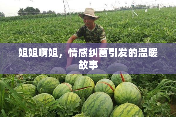 姐姐啊姐，情感纠葛引发的温暖故事