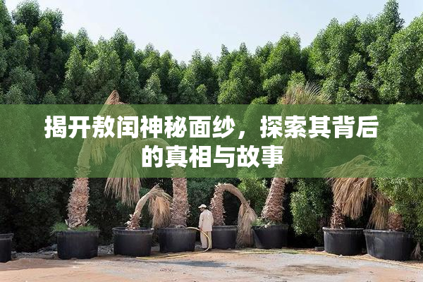 揭开敖闰神秘面纱，探索其背后的真相与故事