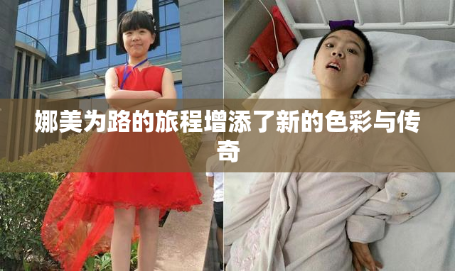 娜美为路的旅程增添了新的色彩与传奇