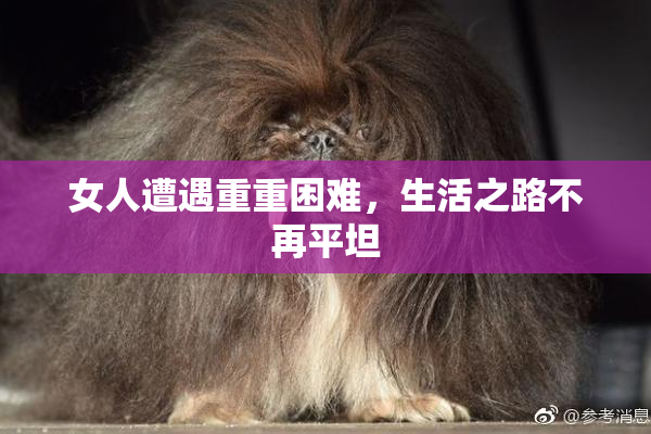 女人遭遇重重困难，生活之路不再平坦