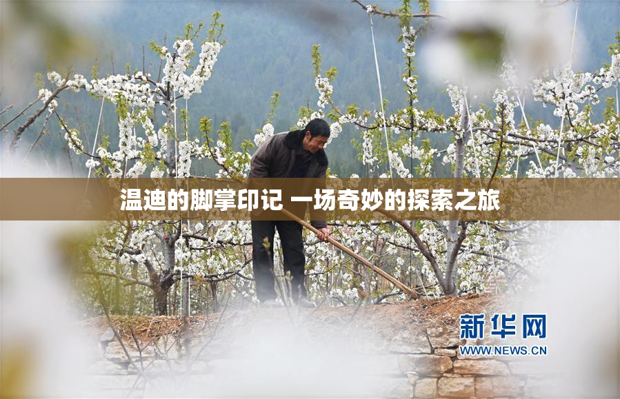 温迪的脚掌印记 一场奇妙的探索之旅