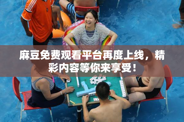麻豆免费观看平台再度上线，精彩内容等你来享受！
