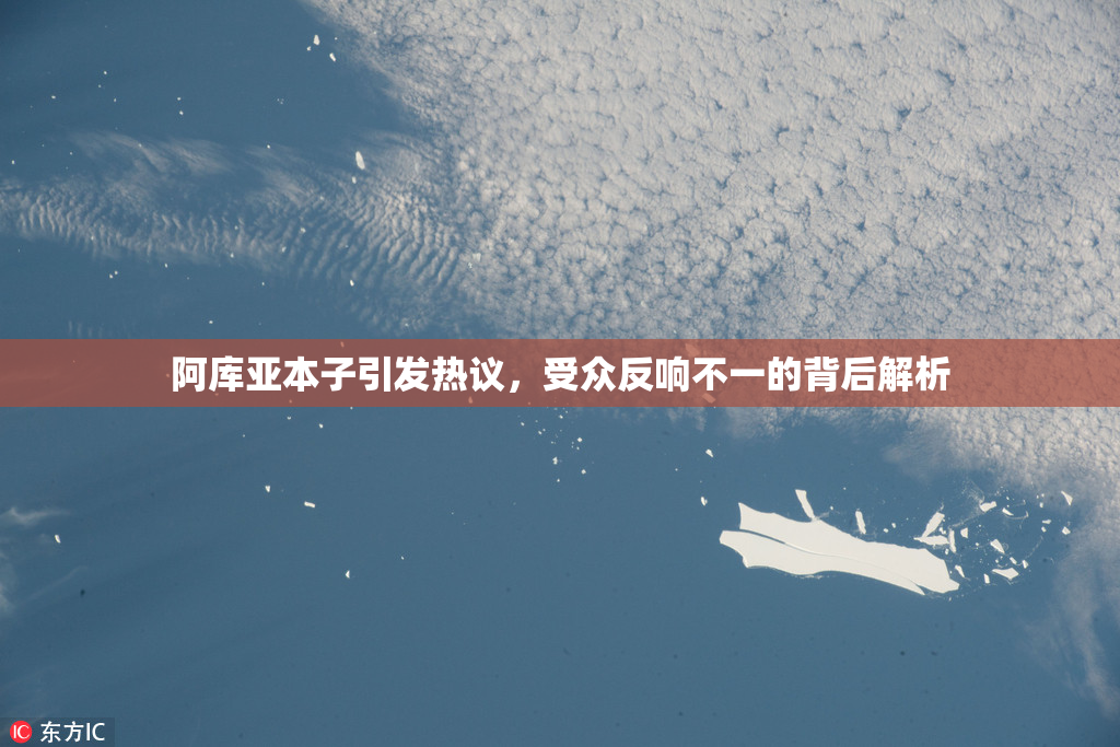 阿库亚本子引发热议，受众反响不一的背后解析