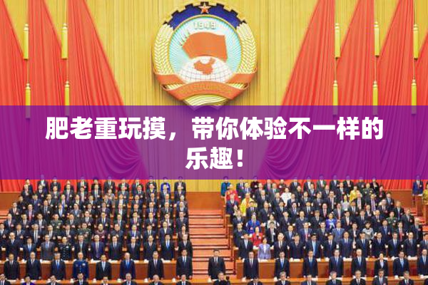 肥老重玩摸，带你体验不一样的乐趣！