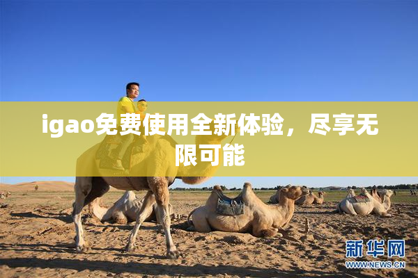 igao免费使用全新体验，尽享无限可能