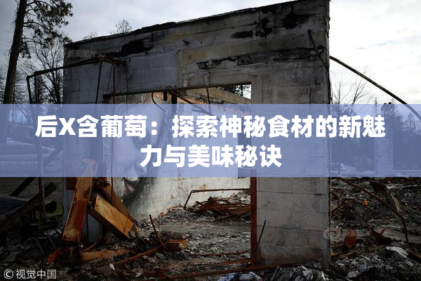 后X含葡萄：探索神秘食材的新魅力与美味秘诀