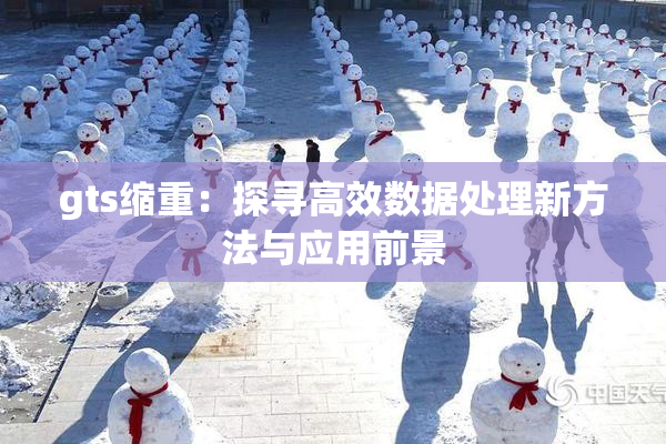 gts缩重：探寻高效数据处理新方法与应用前景